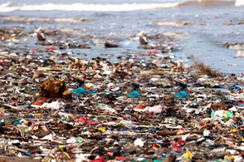 environmental sustainability